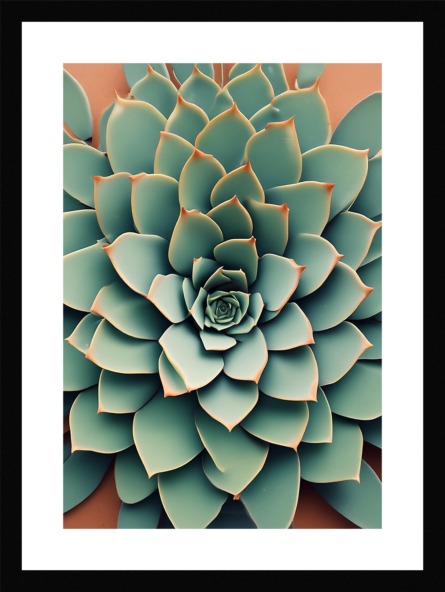 Modern Succulent Framed Wall Art Poster Canvas Print Picture