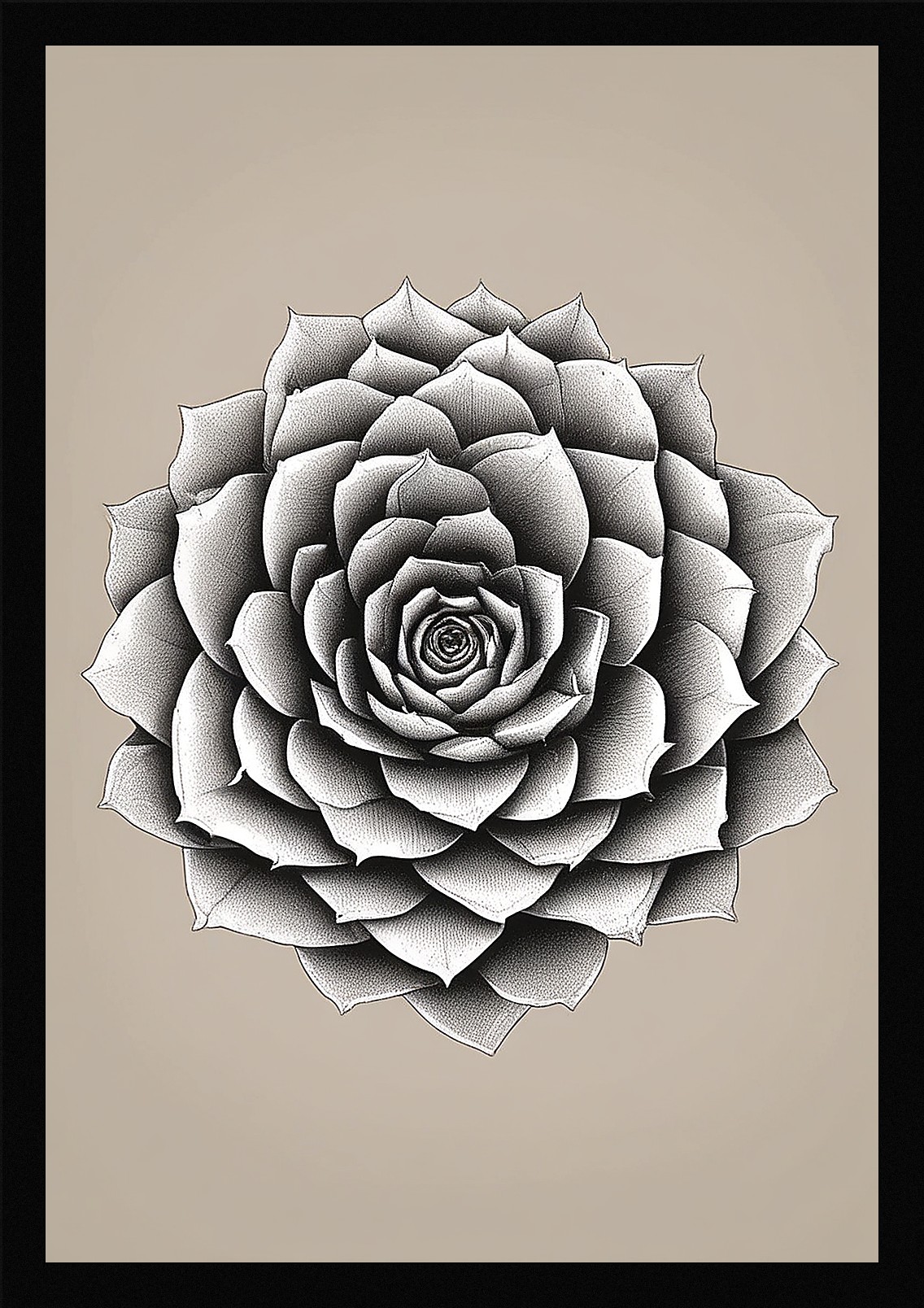 Modern Succulent Framed Wall Art Poster Canvas Print Picture