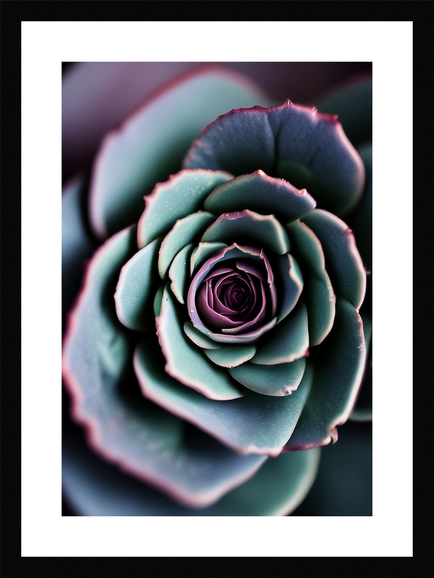 Modern Succulent Framed Wall Art Poster Canvas Print Picture