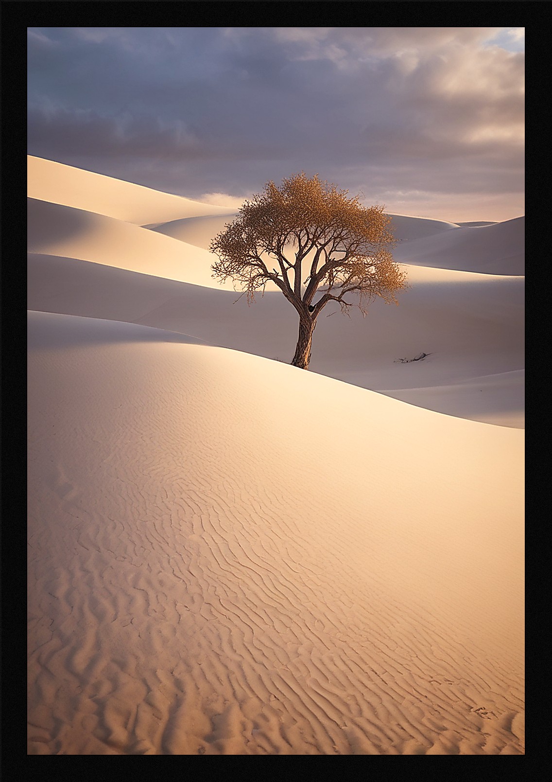 Dramatic Desert Dunes Framed Wall Art Poster Canvas Print Picture