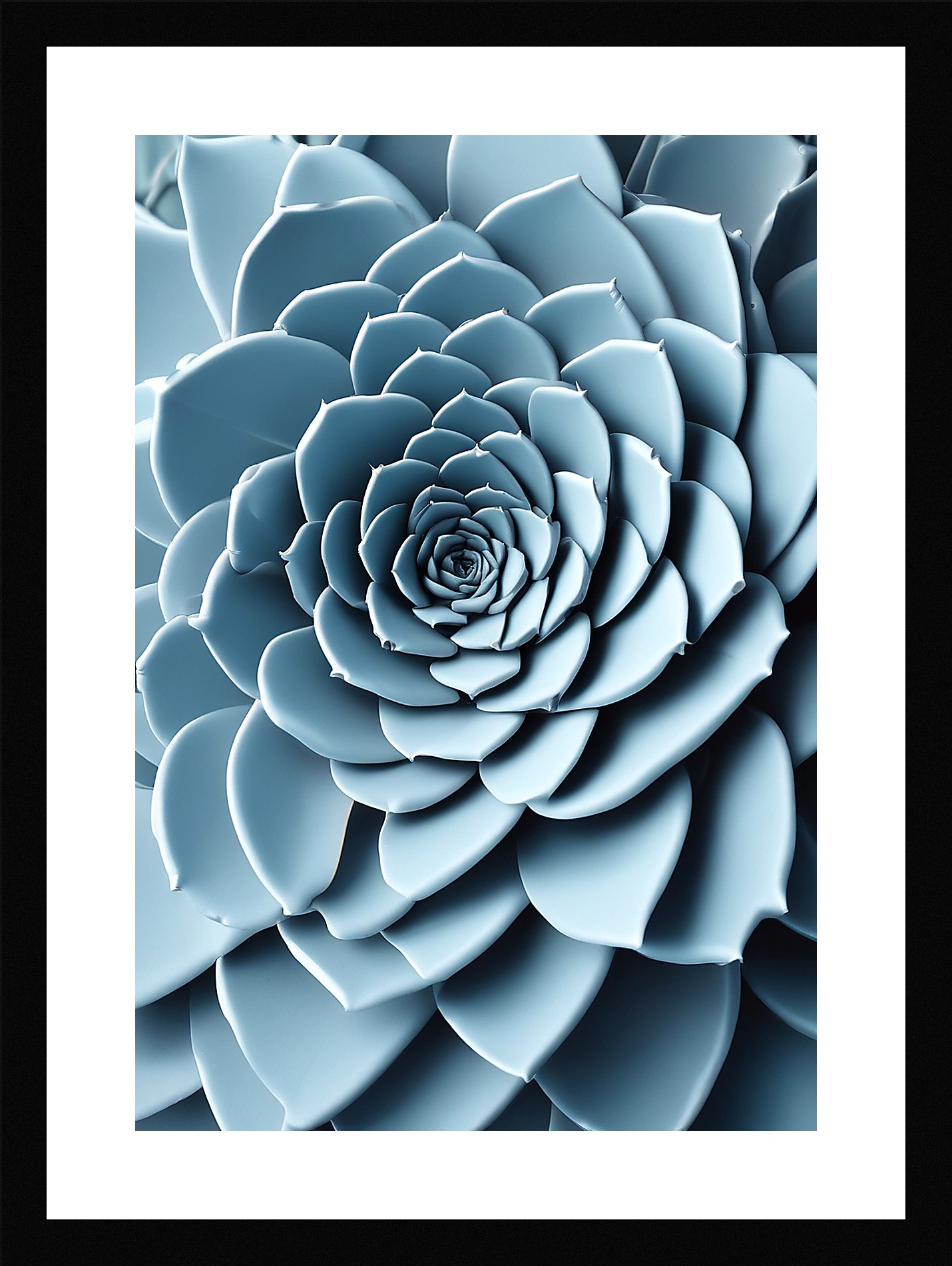 Modern Succulent Framed Wall Art Poster Canvas Print Picture