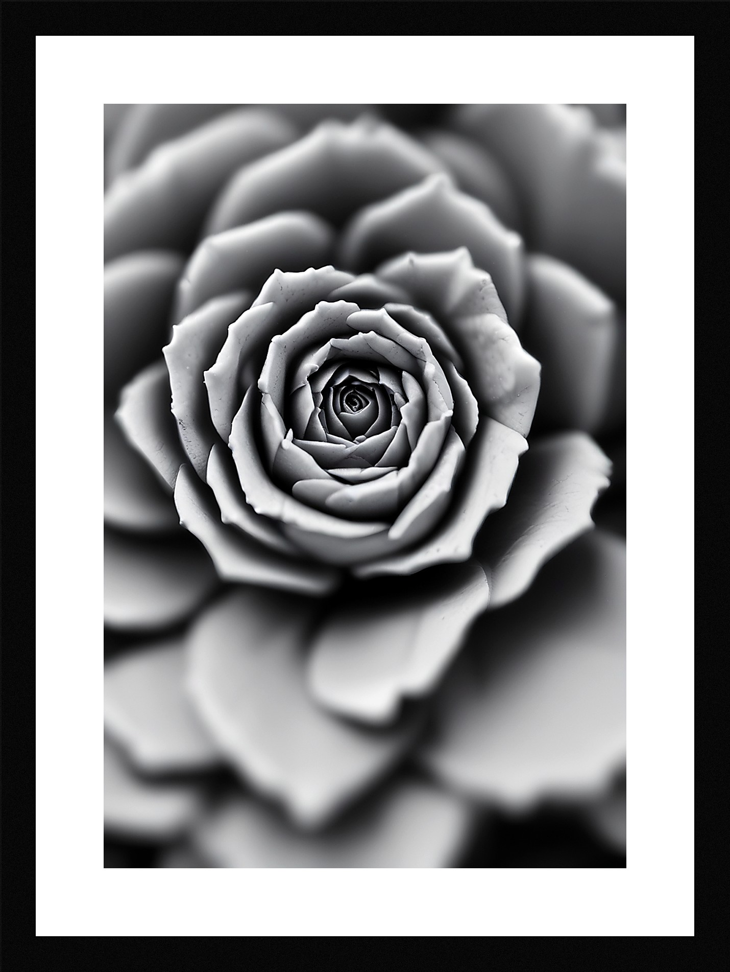 Modern Succulent Framed Wall Art Poster Canvas Print Picture