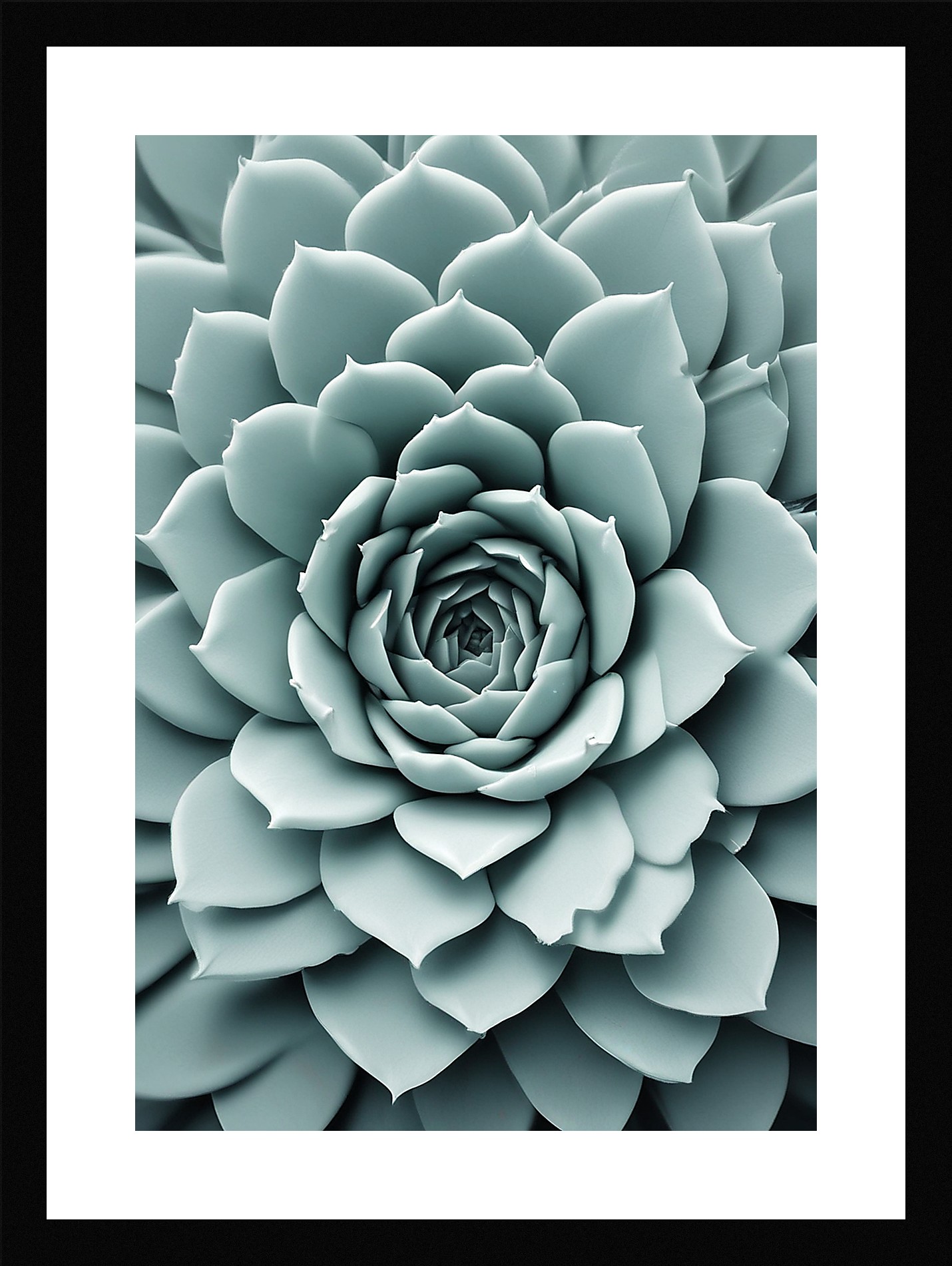 Modern Succulent Framed Wall Art Poster Canvas Print Picture
