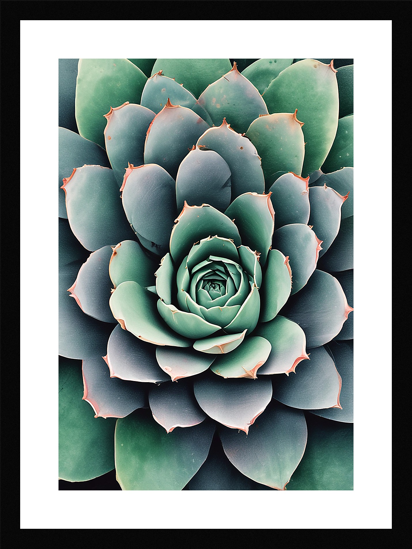 Modern Succulent Framed Wall Art Poster Canvas Print Picture